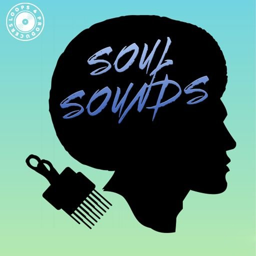 Loops 4 Producers Soul Sounds [WAV]