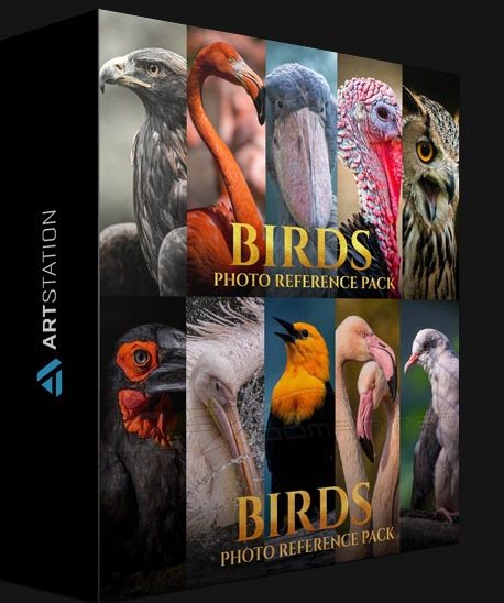 ARTSTATION – BIRDS REFERENCE PACK FOR ARTISTS 828 JPEGS BY SATINE ZILLAH (Premium0