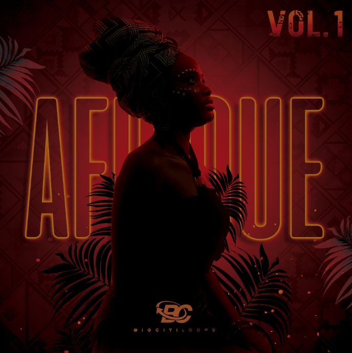 Big Citi Loops Afrique Vol 1 [WAV] (Premium)