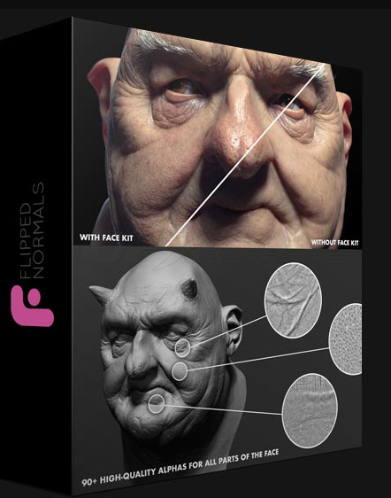 FLIPPED NORMALS – FACE KIT (Premium)