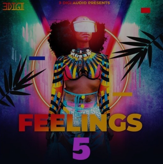 Innovative Samples Feelings RnB Vol 5 [WAV]