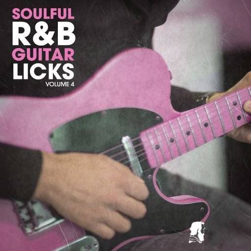 New Beard Media R&B Guitar Licks Vol.4 [WAV] (Premium)