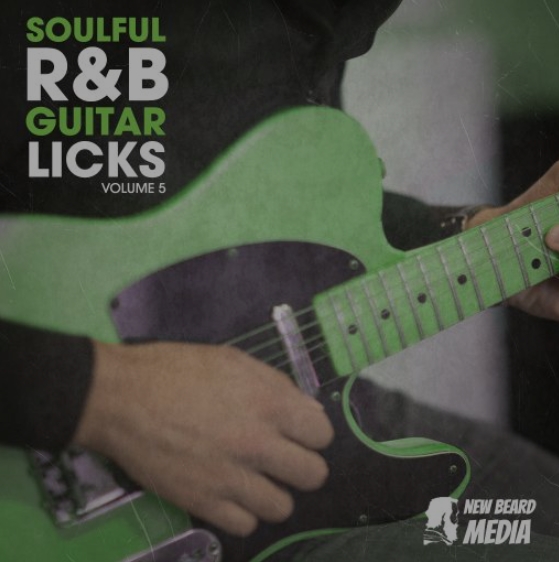 New Beard Media R&B Guitar Licks Vol.5 [WAV]