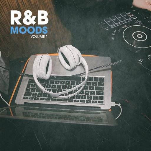 New Beard Media RnB Moods Vol.1 [WAV] (Premium)