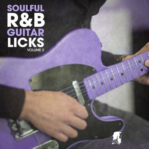 New Beard Media Soulful RnB Guitar Licks Vol.2 [WAV] (Premium)