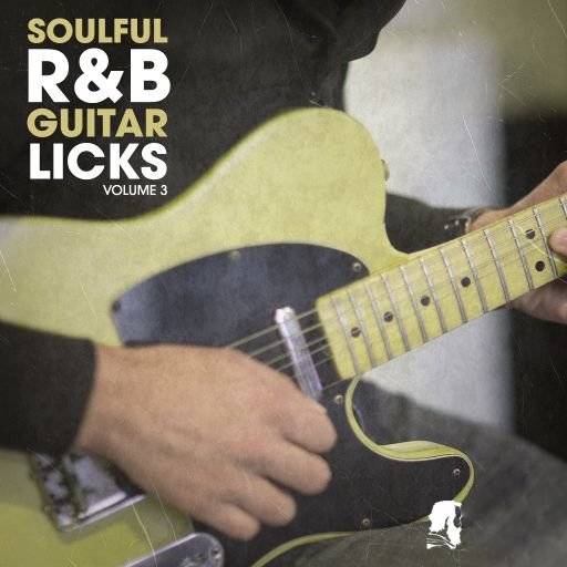 New Beard Media Soulful RnB Guitar Licks Vol.3 [WAV] (Premium)