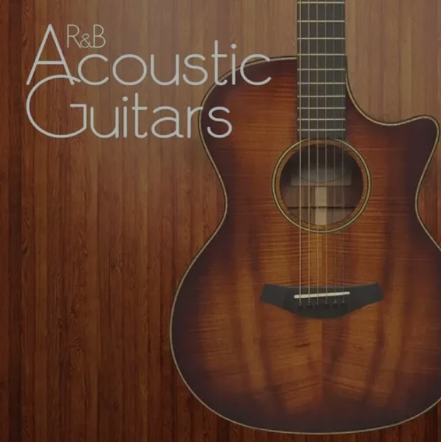 Patchbanks RnB Acoustic Guitars [WAV] (Premium)