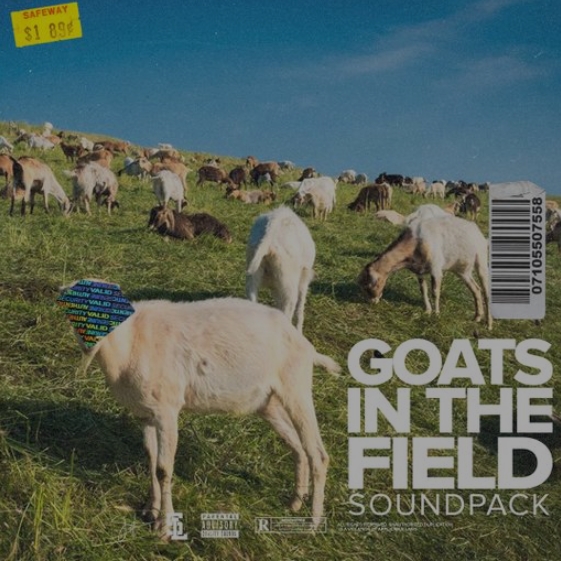 Stve Lawrence Goats In The Field [WAV]