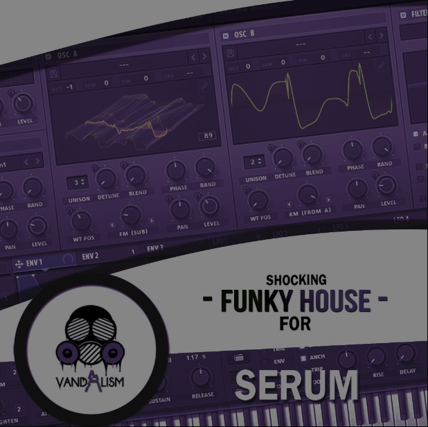 Vandalism Sounds Shocking Funky House For Serum [Synth Presets] (Premium)