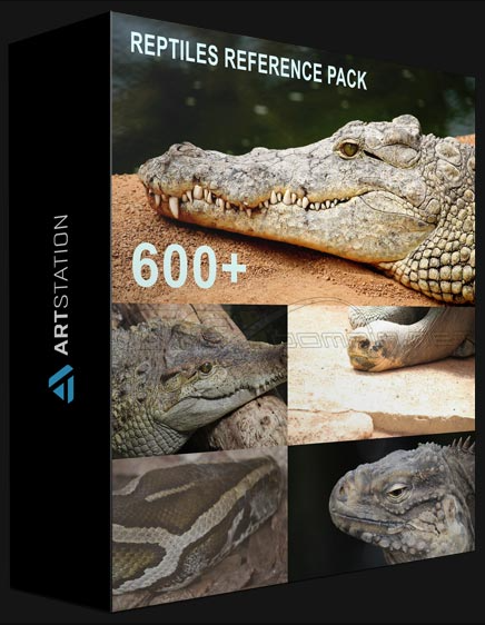 ARTSTATION – 600+ REPTILES – PACK REFERENCES BY THEO BAUDOIN (Premium)