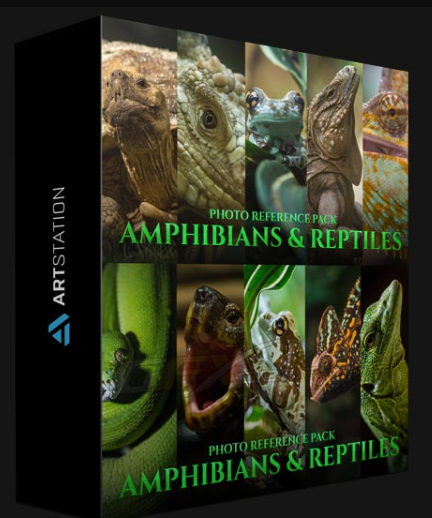 ARTSTATION – AMPHIBIANS & REPTILES – PHOTO REFERENCE PACK FOR ARTISTS 197 JPEGS BY SATINE ZILLAH (Premium)