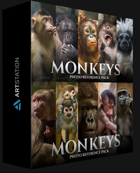 ARTSTATION – MONKEYS – PHOTO REFERENCE PACK FOR ARTISTS 159 JPEGS BY SATINE ZILLAH (Premium)