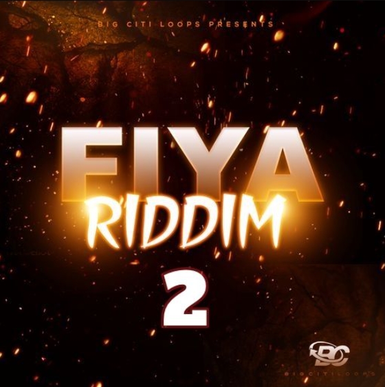 Big Citi Loops Fiya Riddim 2 [WAV] (Premium)