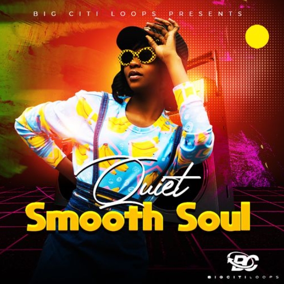 Big Citi Loops Quiet Smooth Soul [WAV] (Premium)