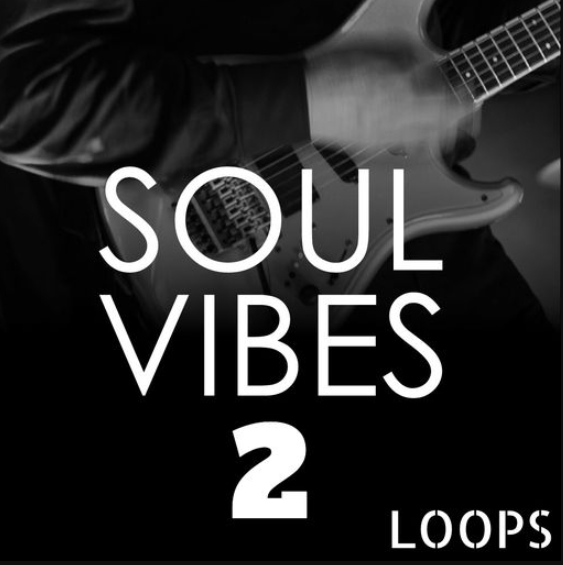 HOOKSHOW Soul Vibes Loops 2 [WAV] (Premium)