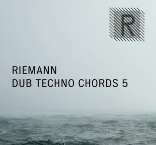 Riemann Kollektion Riemann Dub Techno Chords 5 [WAV]  (Premium)