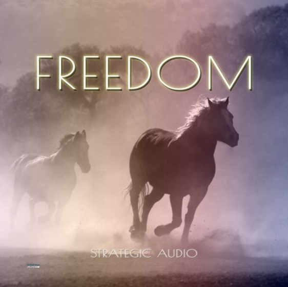 Strategic Audio Freedom [WAV] (Premium)