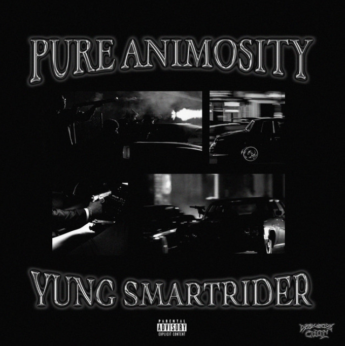 YUNG SMARTRIDER Pure Animosity [WAV, DAW Templates] (Premium)