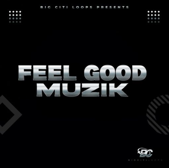 Big Citi Loops FEEL GOOD MUZIK [WAV] (Premium)