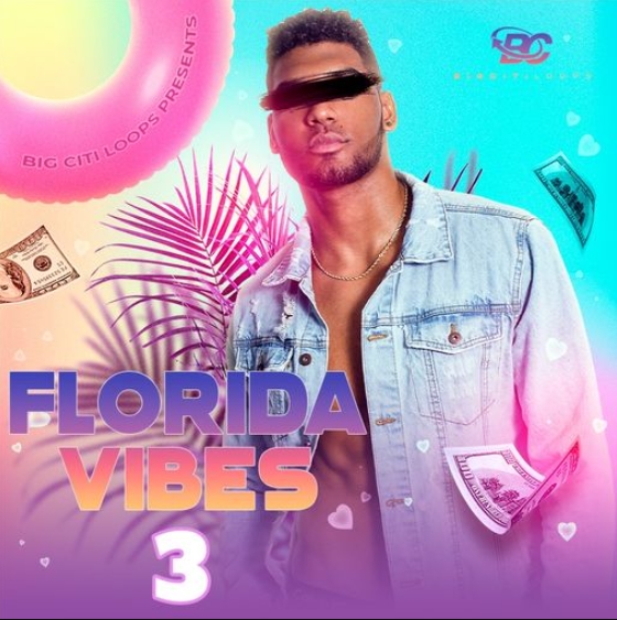 Big Citi Loops Florida Vibes 3 [WAV]