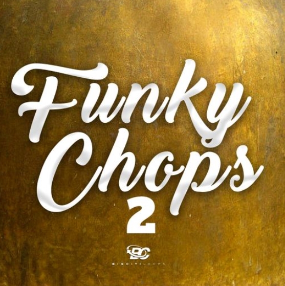 Big Citi Loops Funky Chops 2 [WAV]