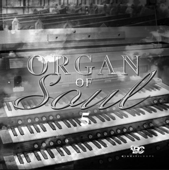 Big Citi Loops Organ Of Soul 5 [WAV] (Premium)