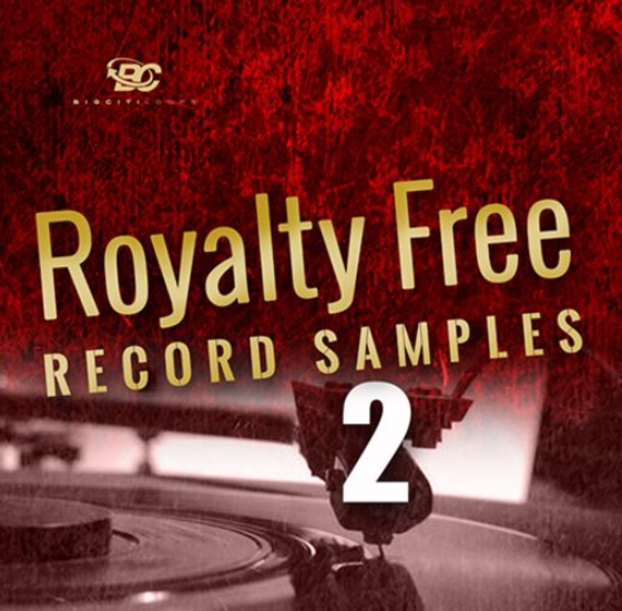 Big Citi Loops Royalty-Free Record Samples Part 2 [WAV] (Premium)