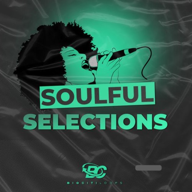 Big Citi Loops Soulful Selections [WAV] (Premium)