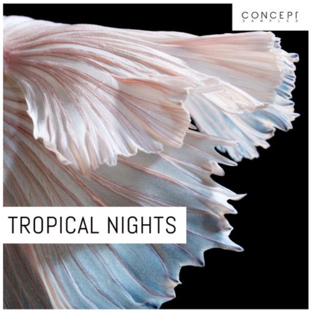 Concept Samples Tropical Nights [WAV] (Premium)