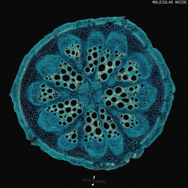 Touch Loops Molecular Noise [WAV] (Premium)