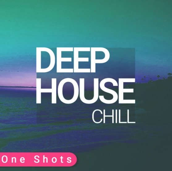 Whitenoise Records Chill Deep House ONE SHOTS [WAV] (Premium)