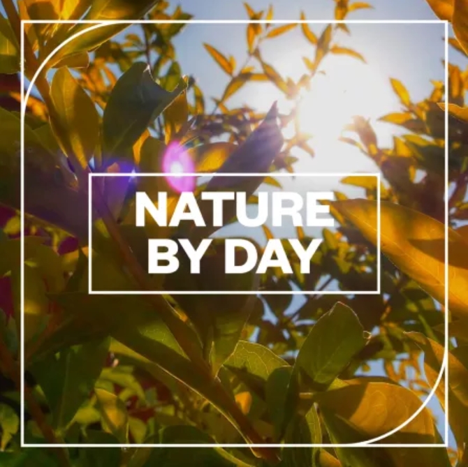 Blastwave FX Nature by Day [WAV]