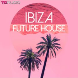 Industrial Strength TD Audio Ibiza Future House [WAV] (Premium)