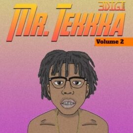 Innovative Samples Mr. Tekkka Volume 2 [WAV] (Premium)