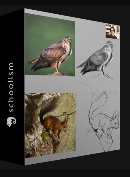 SCHOOLISM – SPEED SKETCHING ANIMALS WITH BOBBY CHIU