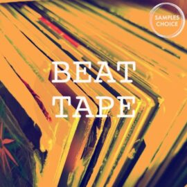 MidiLatino Drum Loop and Kit Ultimate Bundle [WAV] (Premium)