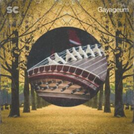 Sonic Collective Gayageum [WAV] (Premium)