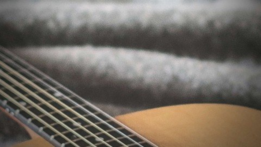 Udemy Guitar Basics For Total Beginners [TUTORiAL] (Premium)