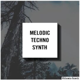 Whitenoise Records Melodic Techno Synth [WAV] (Premium)