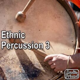 AudioFriend Ethnic Percussion 3 [WAV] (Premium)
