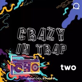 Roundel Sounds Crazy In Trap Vol.2 [WAV, MiDi, Synth Presets] (Premium)