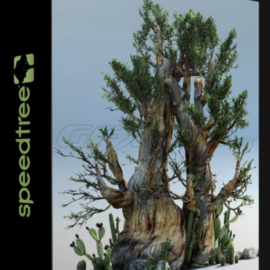 SPEEDTREE MODELER V9.2 CINEMA EDITION WIN X64 (Premium)