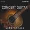 Ueberschall Concert Guitar [Elastik] (Premium)