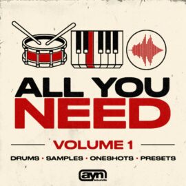 AYN Sounds All You Need Vol.1 (Multi-Kit) [WAV, Synth Presets] (Premium)