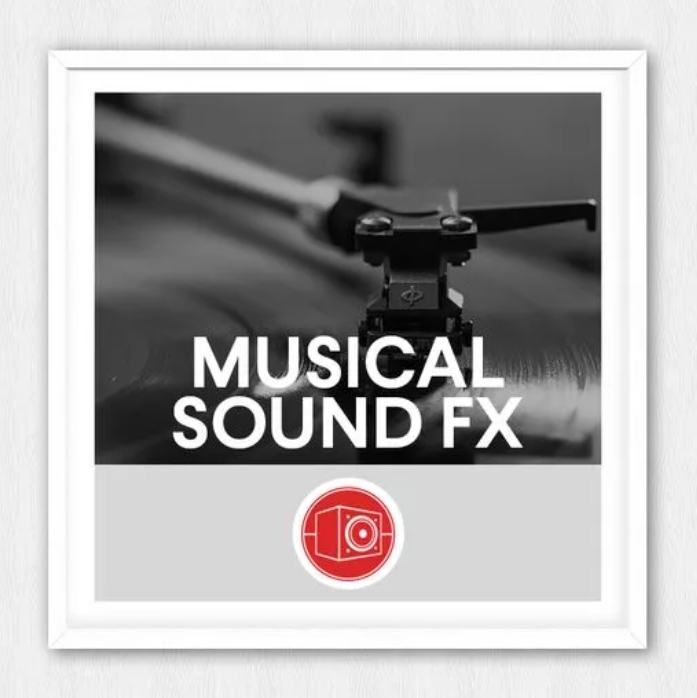 Big Room Sound Musical Sound Effects [WAV]