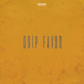 DRIVENSOUNDS DRIP FAVOR [WAV] (Premium)