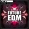 Everest Sounds Future EDM [WAV] (Premium)