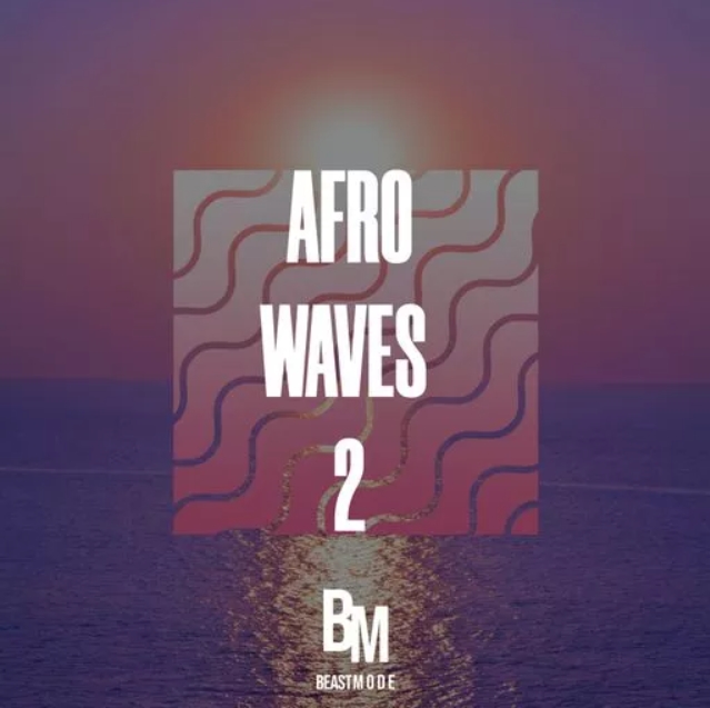 HOOKSHOW Afro Waves 2 [WAV]