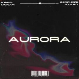 Kavan Dignam Aurora Toolkit (ONE SHOTS) [WAV, MiDi] (Premium)