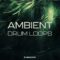 New Loops Ambient Drum Loops [WAV] (Premium)